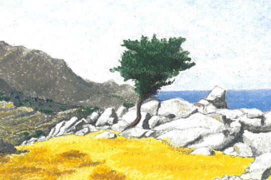ergo papaioannou-tilos